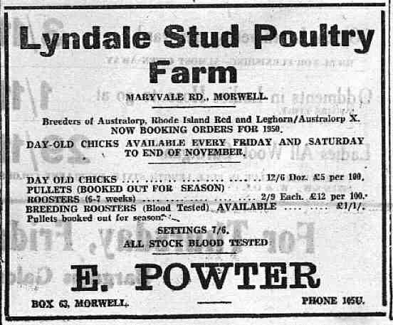 powterspoultry